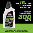 Ortho GroundClear 32 Oz. Concentrate Weed & Grass Killer Image 7